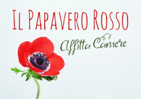 Il papavero rosso